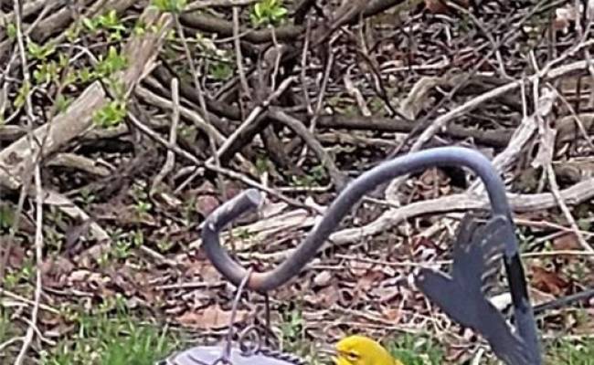 9378 Robins Neck Road, Gloucester County, VA 23061