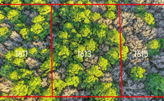 1611 Binford Street, Chesapeake, VA 23322