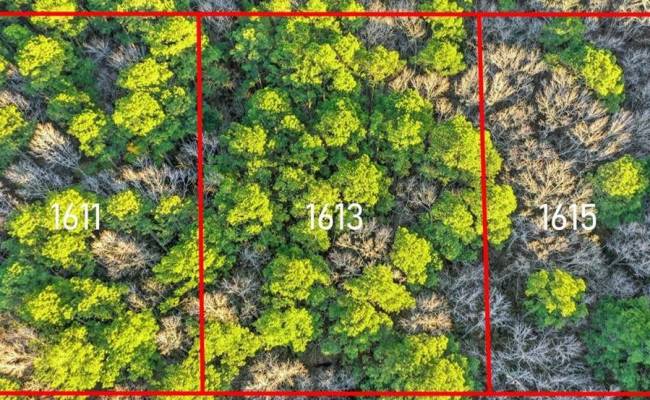 1615 Binford Street, Chesapeake, VA 23322