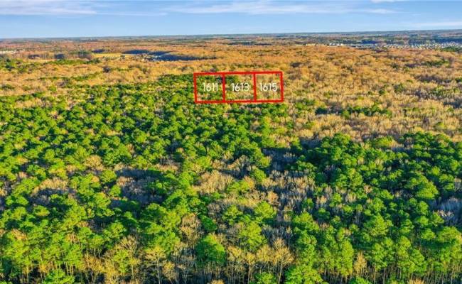 1615 Binford Street, Chesapeake, VA 23322