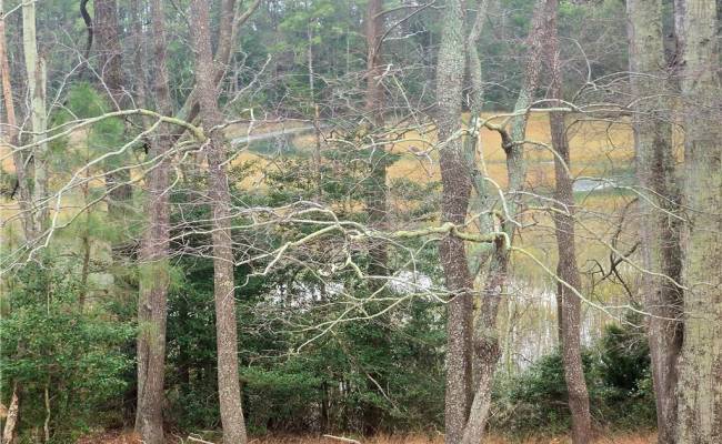 7472 Seaside Road, Northampton County, VA 23347