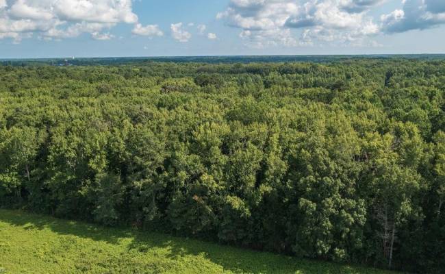 Lot 4 Princess Anne Road, Virginia Beach, VA 23456