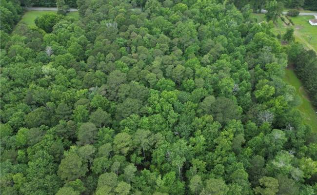 1813 Shillelagh Road, Chesapeake, VA 23323