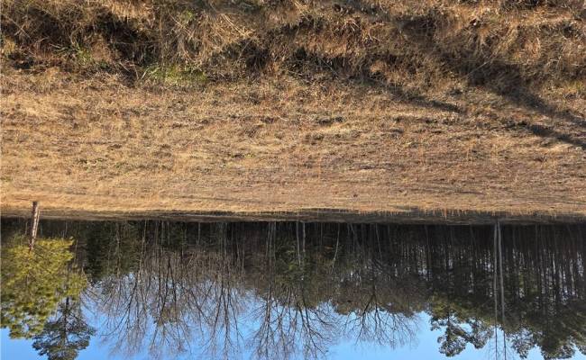 3 Sandy Hill Road, Sussex County, VA 23837