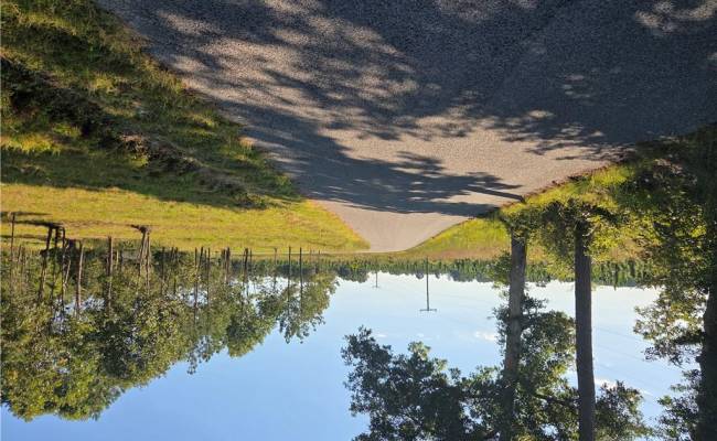 3 Sandy Hill Road, Sussex County, VA 23837