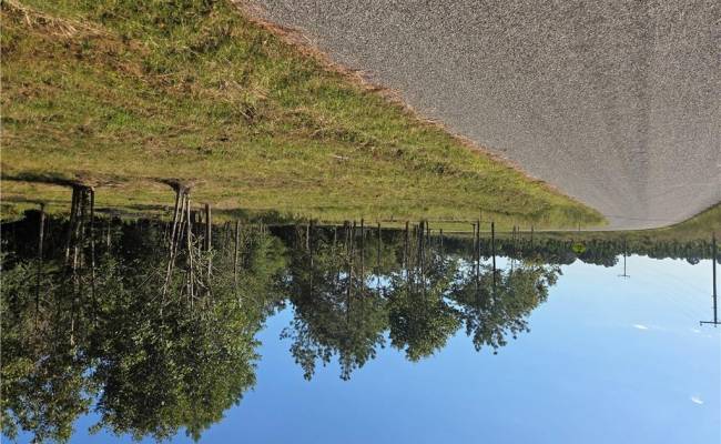 5 Sandy Hill Road, Sussex County, VA 23837