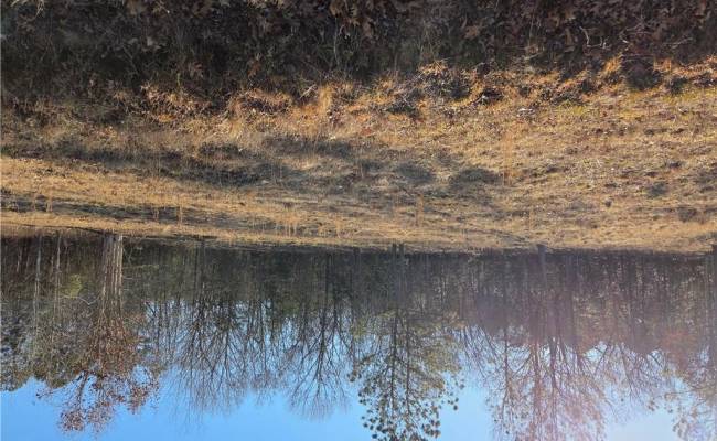 7 Sandy Hill Road, Sussex County, VA 23837