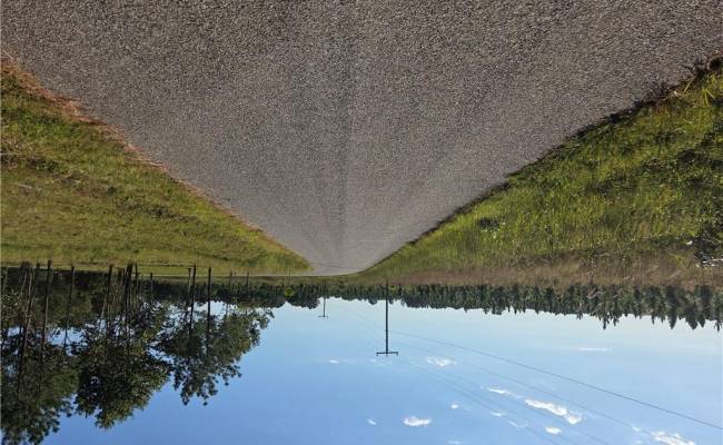 7 Sandy Hill Road, Sussex County, VA 23837