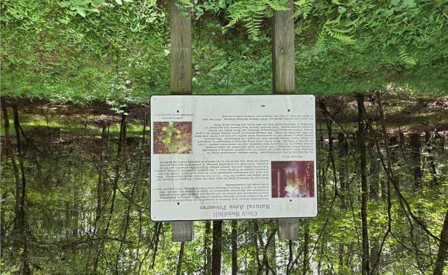 7 Sandy Hill Road, Sussex County, VA 23837