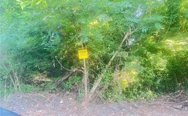 .19 ac Railroad Avenue, Suffolk, VA 23434