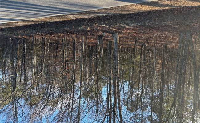 7.88ac Eleytown Road, Hertford County, NC 27855