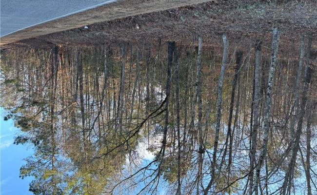 7.88ac Eleytown Road, Hertford County, NC 27855