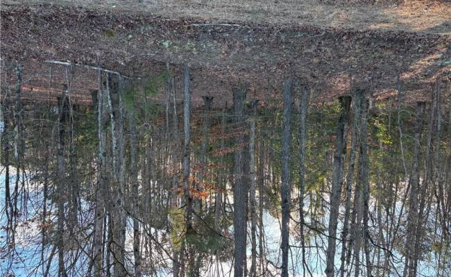 7.88ac Eleytown Road, Hertford County, NC 27855