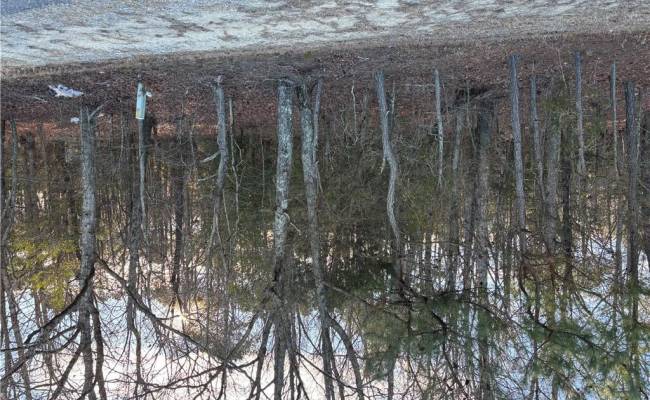 7.88ac Eleytown Road, Hertford County, NC 27855