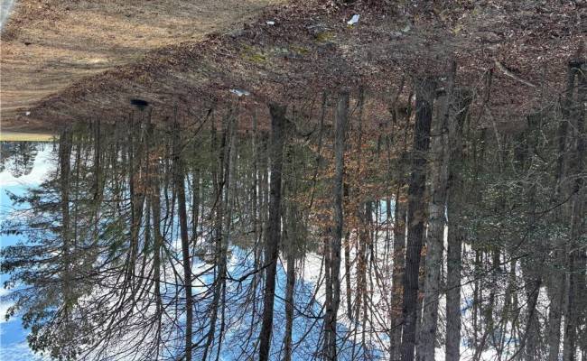 7.88ac Eleytown Road, Hertford County, NC 27855