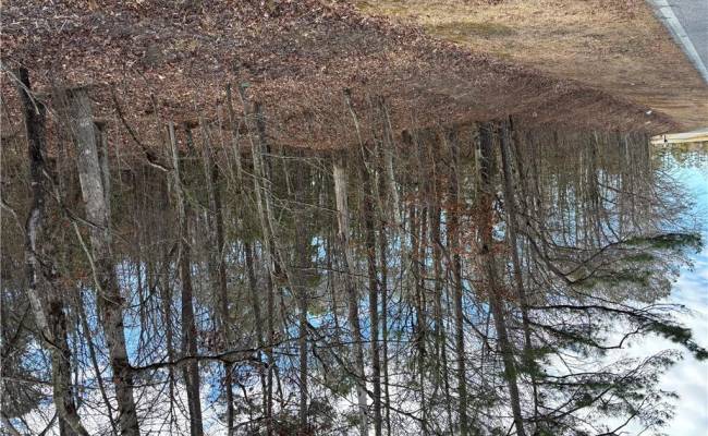 7.88ac Eleytown Road, Hertford County, NC 27855