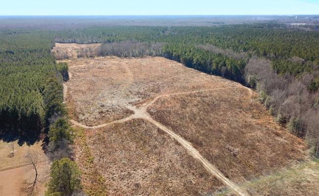 107 Acres Taylors Mill Road, Emporia, VA 23847