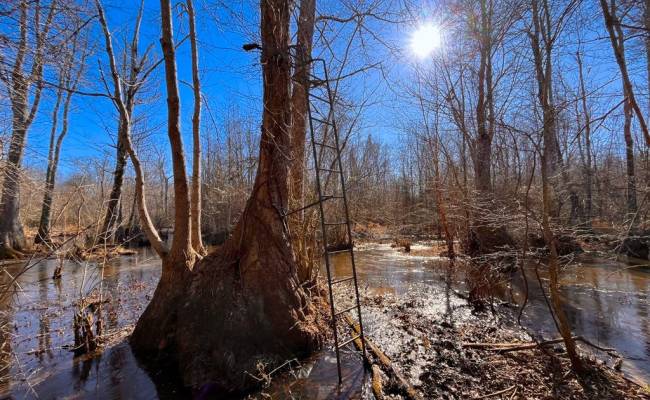 107 Acres Taylors Mill Road, Emporia, VA 23847