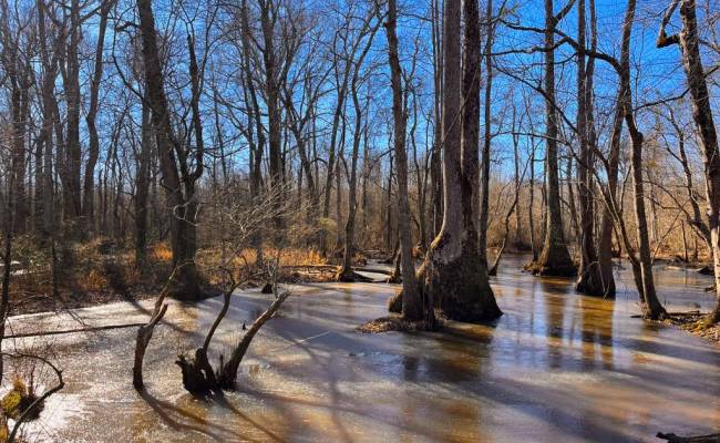 107 Acres Taylors Mill Road, Emporia, VA 23847