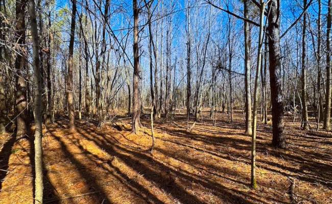 107 Acres Taylors Mill Road, Emporia, VA 23847