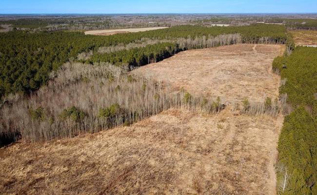 107 Acres Taylors Mill Road, Emporia, VA 23847