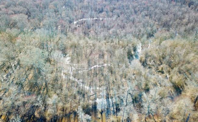 107 Acres Taylors Mill Road, Emporia, VA 23847