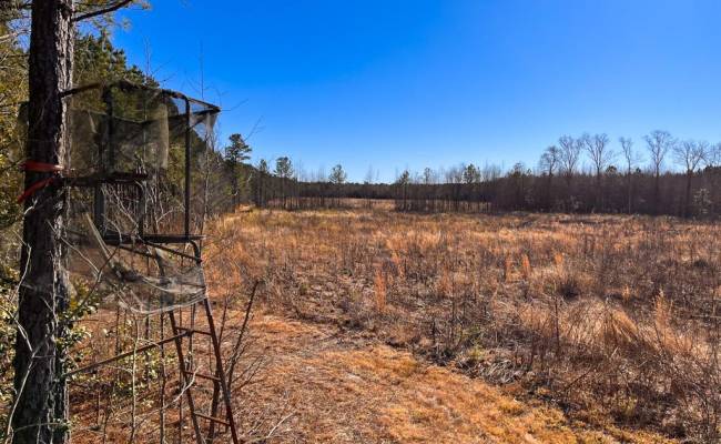 107 Acres Taylors Mill Road, Emporia, VA 23847