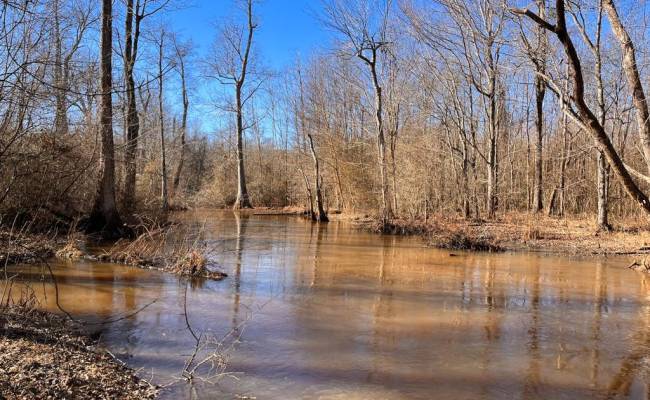 107 Acres Taylors Mill Road, Emporia, VA 23847