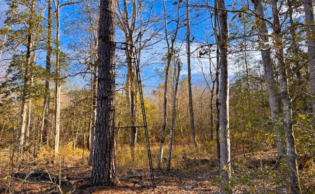 107 Acres Taylors Mill Road, Emporia, VA 23847