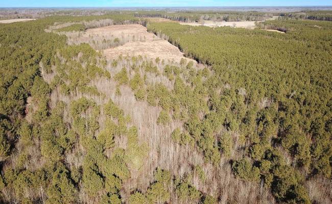 107 Acres Taylors Mill Road, Emporia, VA 23847