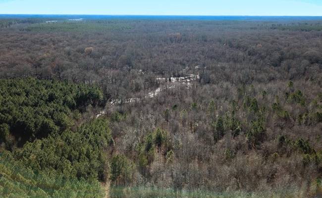 107 Acres Taylors Mill Road, Emporia, VA 23847