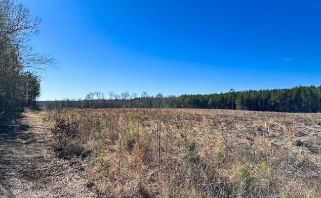 107 Acres Taylors Mill Road, Emporia, VA 23847