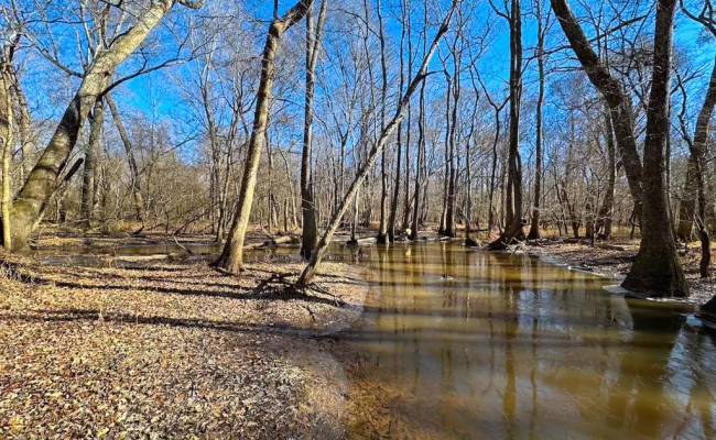 107 Acres Taylors Mill Road, Emporia, VA 23847