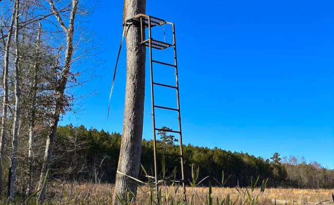 107 Acres Taylors Mill Road, Emporia, VA 23847