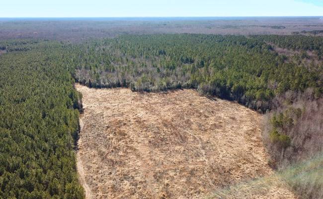 107 Acres Taylors Mill Road, Emporia, VA 23847