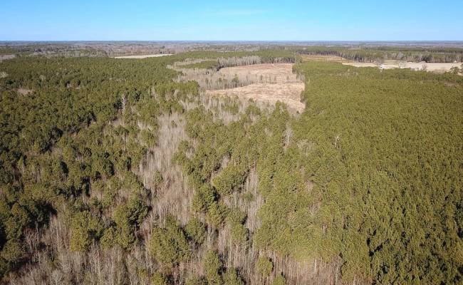 107 Acres Taylors Mill Road, Emporia, VA 23847