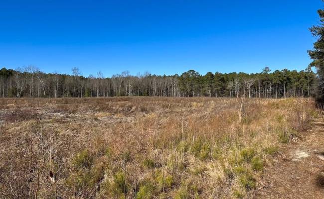 107 Acres Taylors Mill Road, Emporia, VA 23847