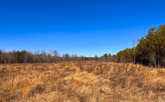 107 Acres Taylors Mill Road, Emporia, VA 23847