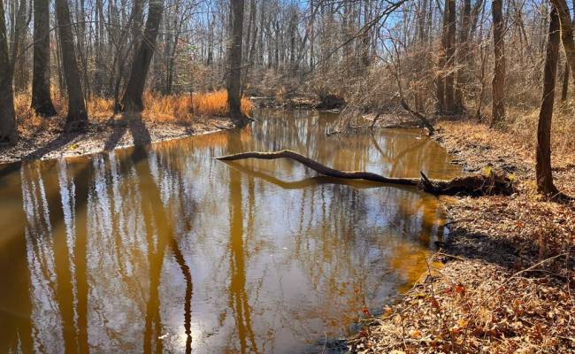 107 Acres Taylors Mill Road, Emporia, VA 23847