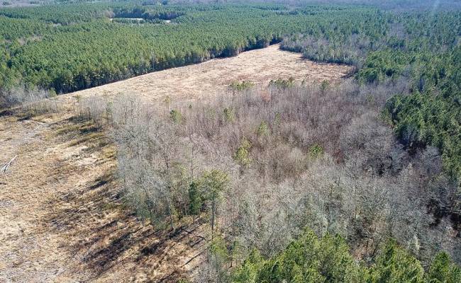 107 Acres Taylors Mill Road, Emporia, VA 23847