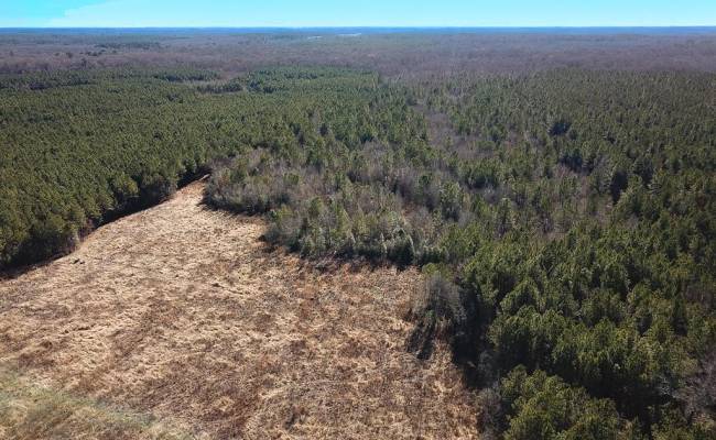 107 Acres Taylors Mill Road, Emporia, VA 23847