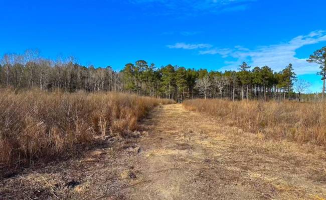 107 Acres Taylors Mill Road, Emporia, VA 23847