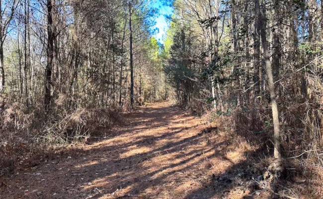 107 Acres Taylors Mill Road, Emporia, VA 23847