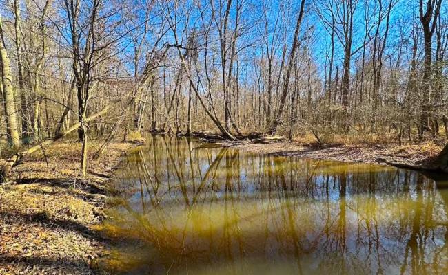 107 Acres Taylors Mill Road, Emporia, VA 23847