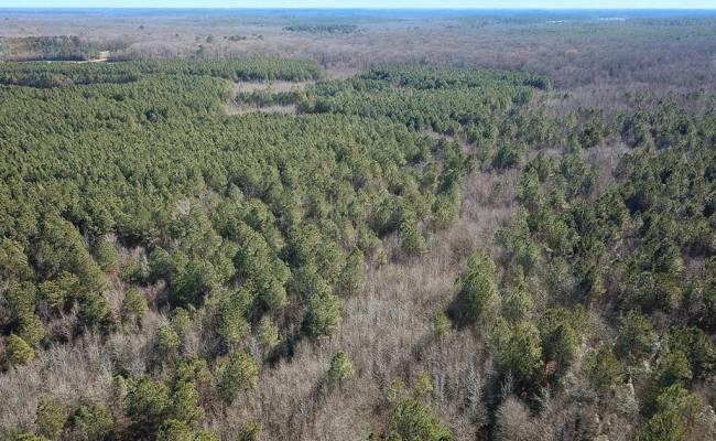 107 Acres Taylors Mill Road, Emporia, VA 23847