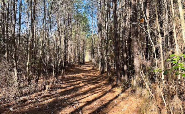 107 Acres Taylors Mill Road, Emporia, VA 23847