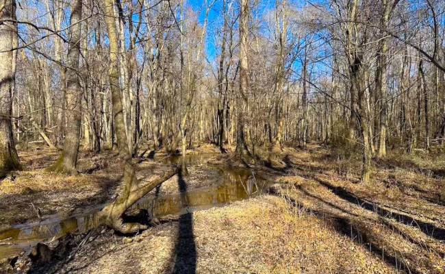 107 Acres Taylors Mill Road, Emporia, VA 23847