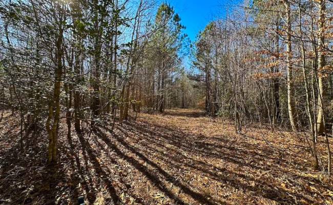 107 Acres Taylors Mill Road, Emporia, VA 23847