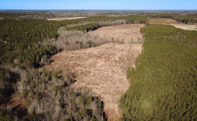 107 Acres Taylors Mill Road, Emporia, VA 23847