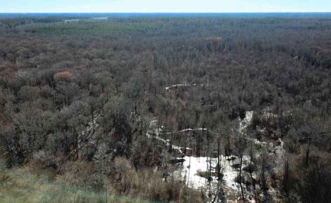 107 Acres Taylors Mill Road, Emporia, VA 23847